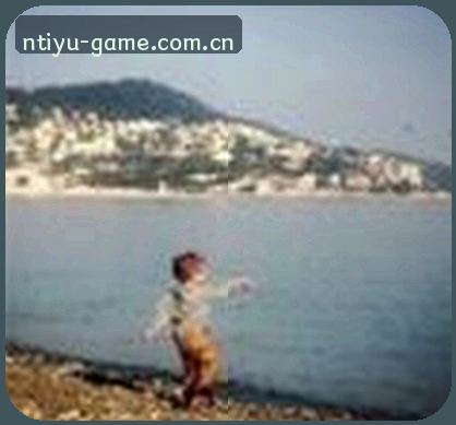 赵敏