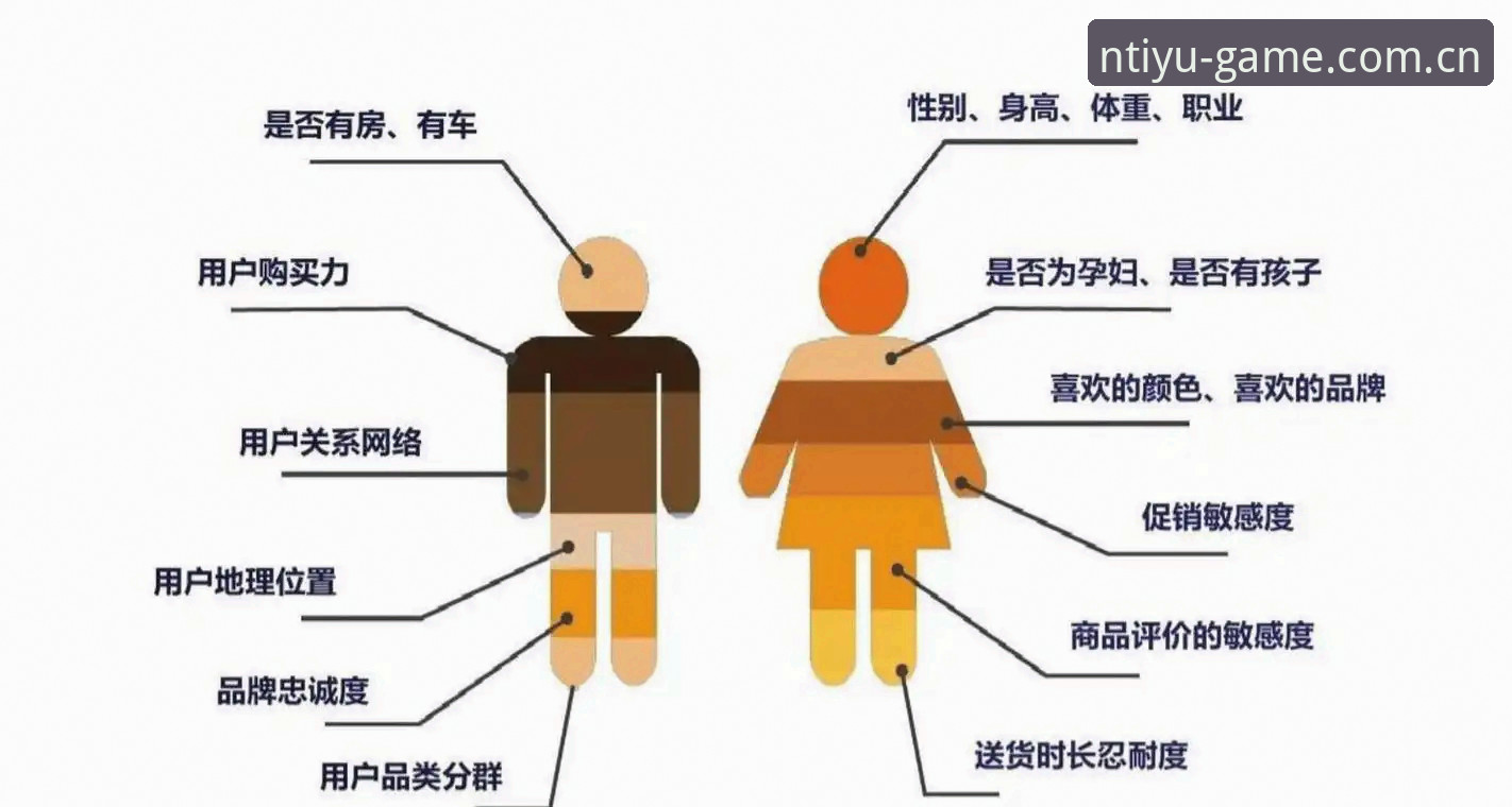 资深用户详解：N体育电脑版下载手机版的全平台实战心得